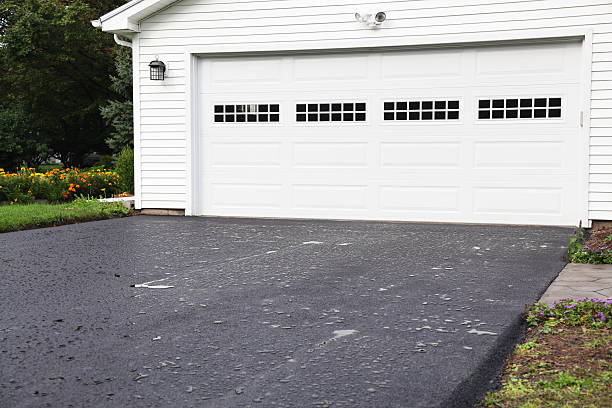 Best Hoarding Cleanup  in Prestonsburg, KY